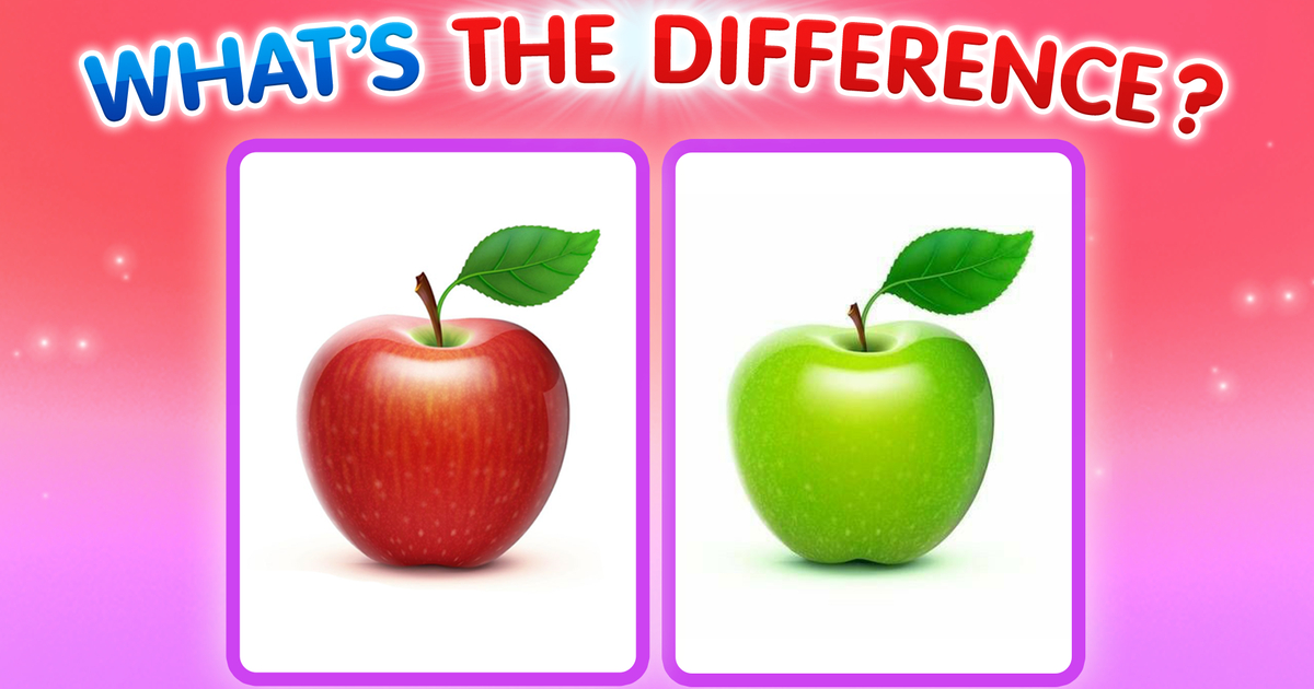 What's The Difference?